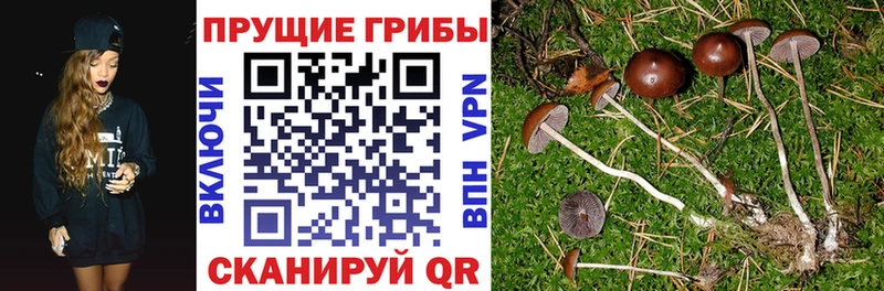 Псилоцибиновые грибы мухоморы  Купить где  Карабаш 